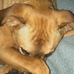 Meet your Posher, Tammy